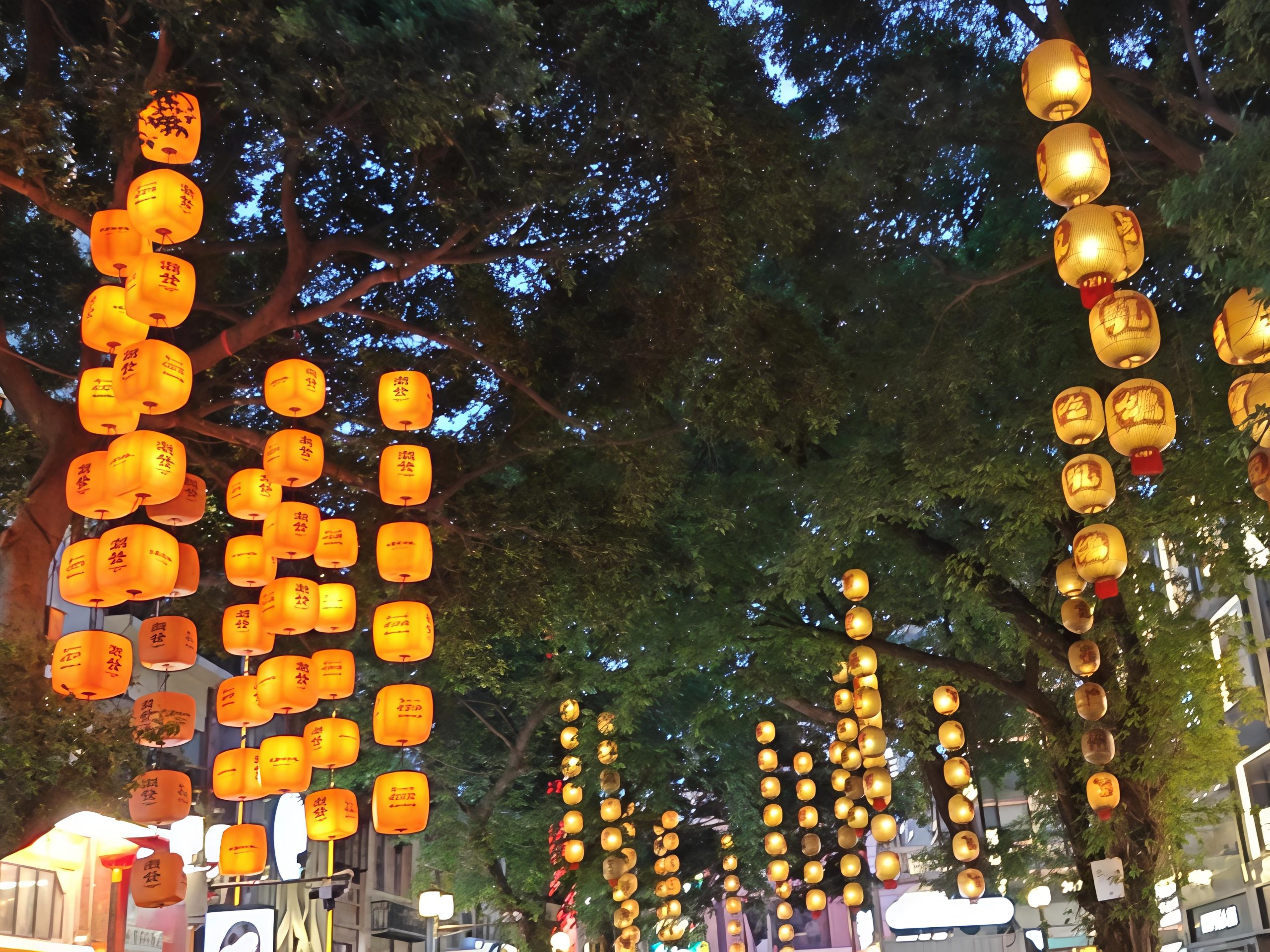 旅行照片1